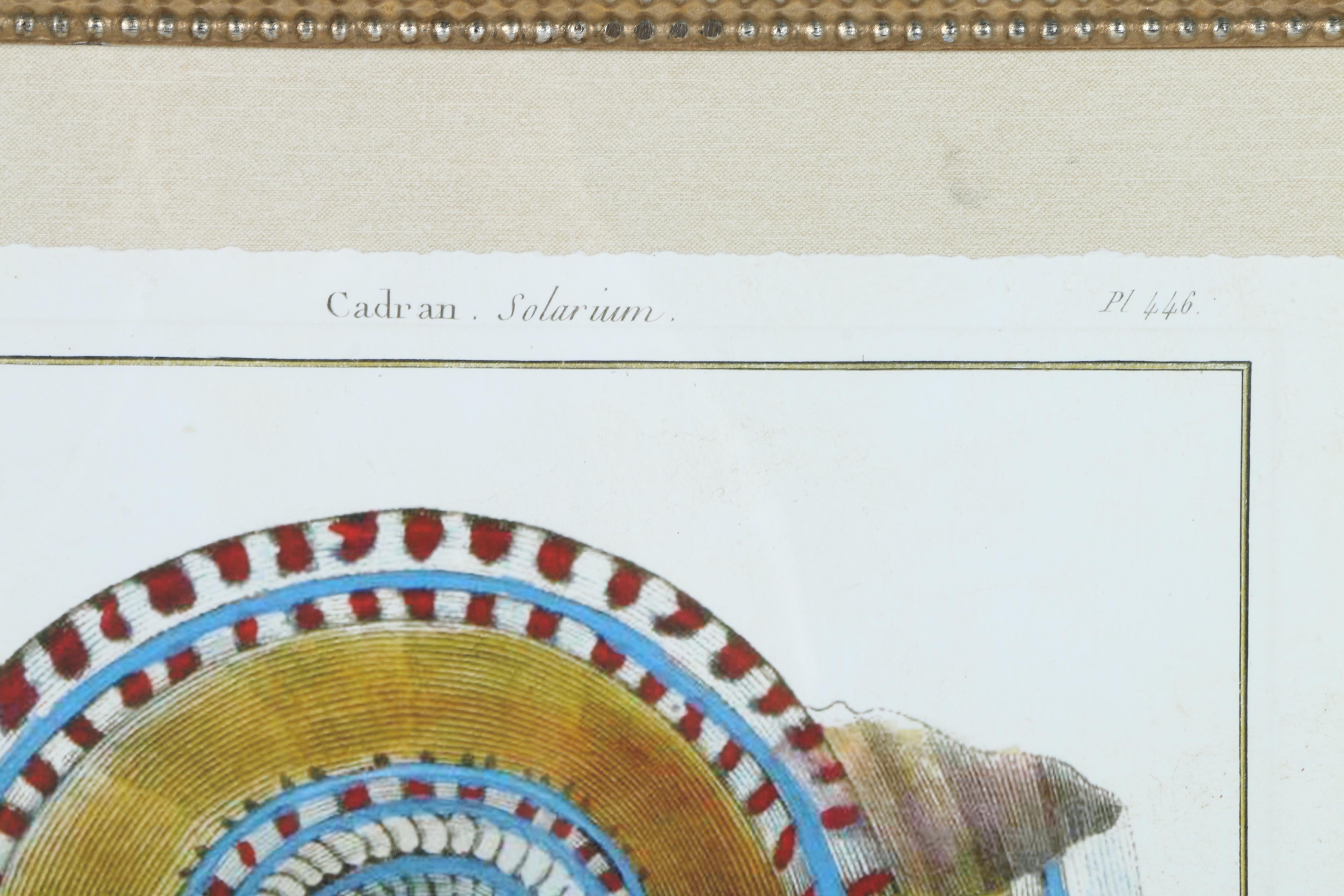 Giclées on Paper of Seashells Including Prints After Benard Direxit