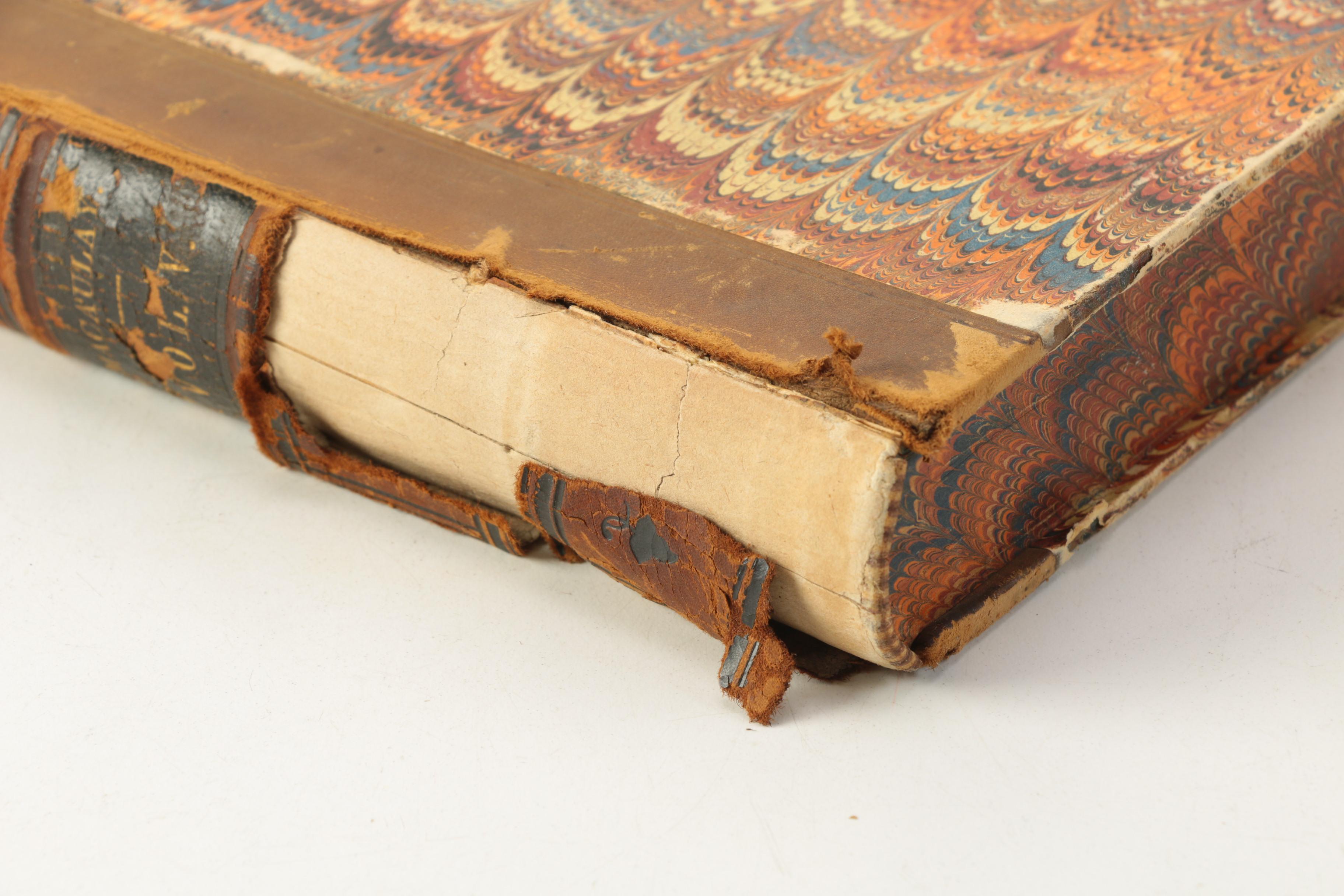 Assortment of History Books