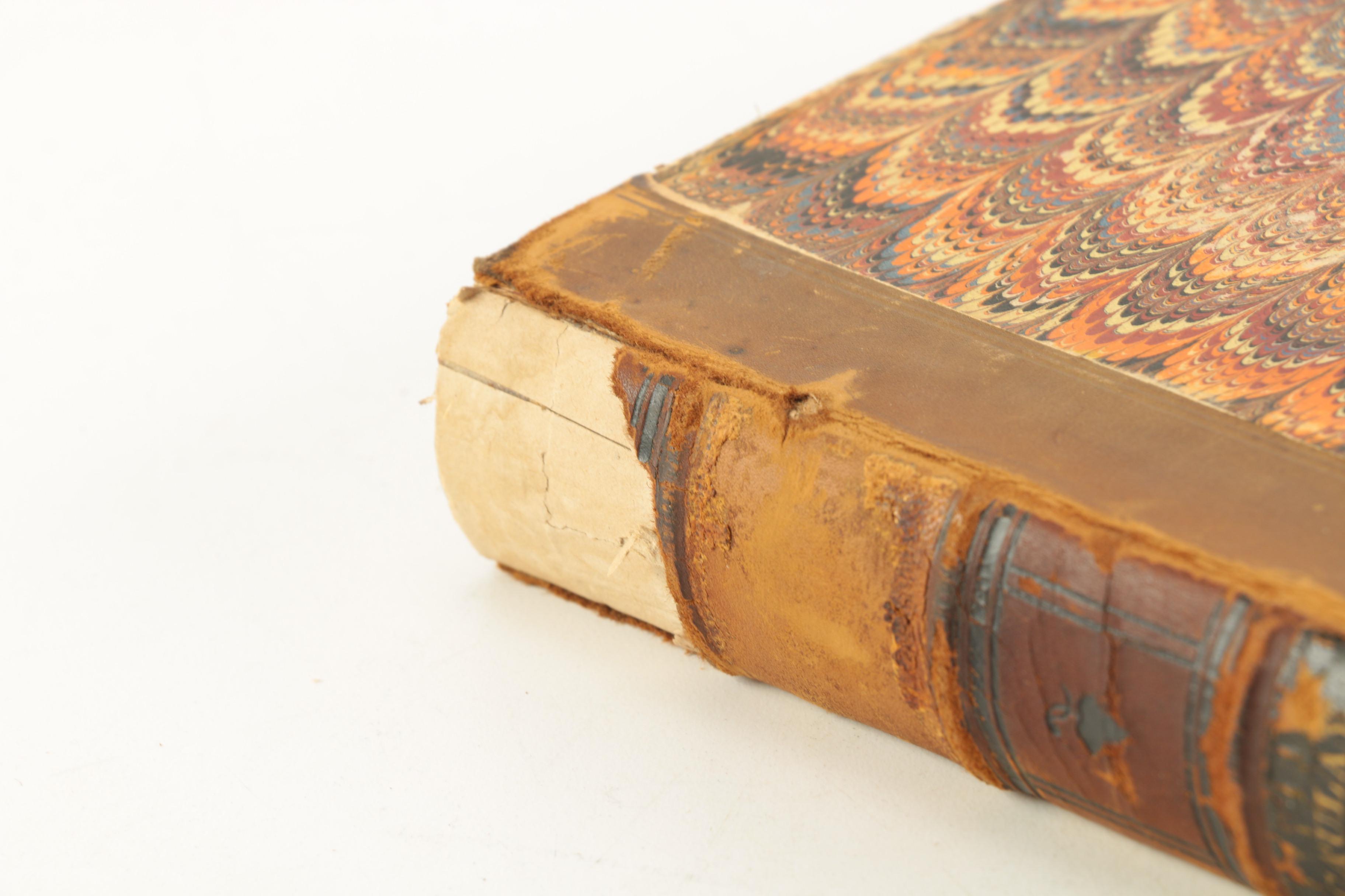 Assortment of History Books