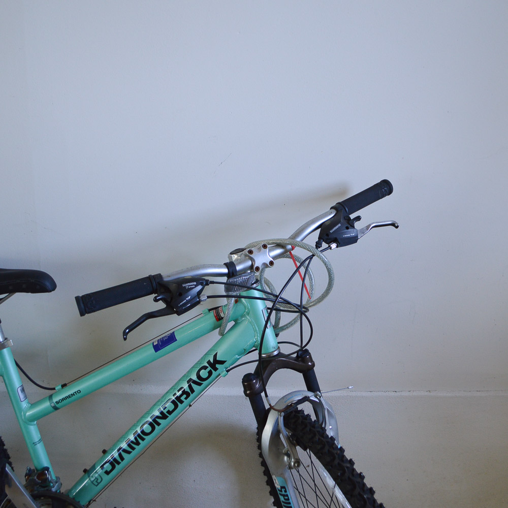 2008 Women's Diamondback Mountain Bike