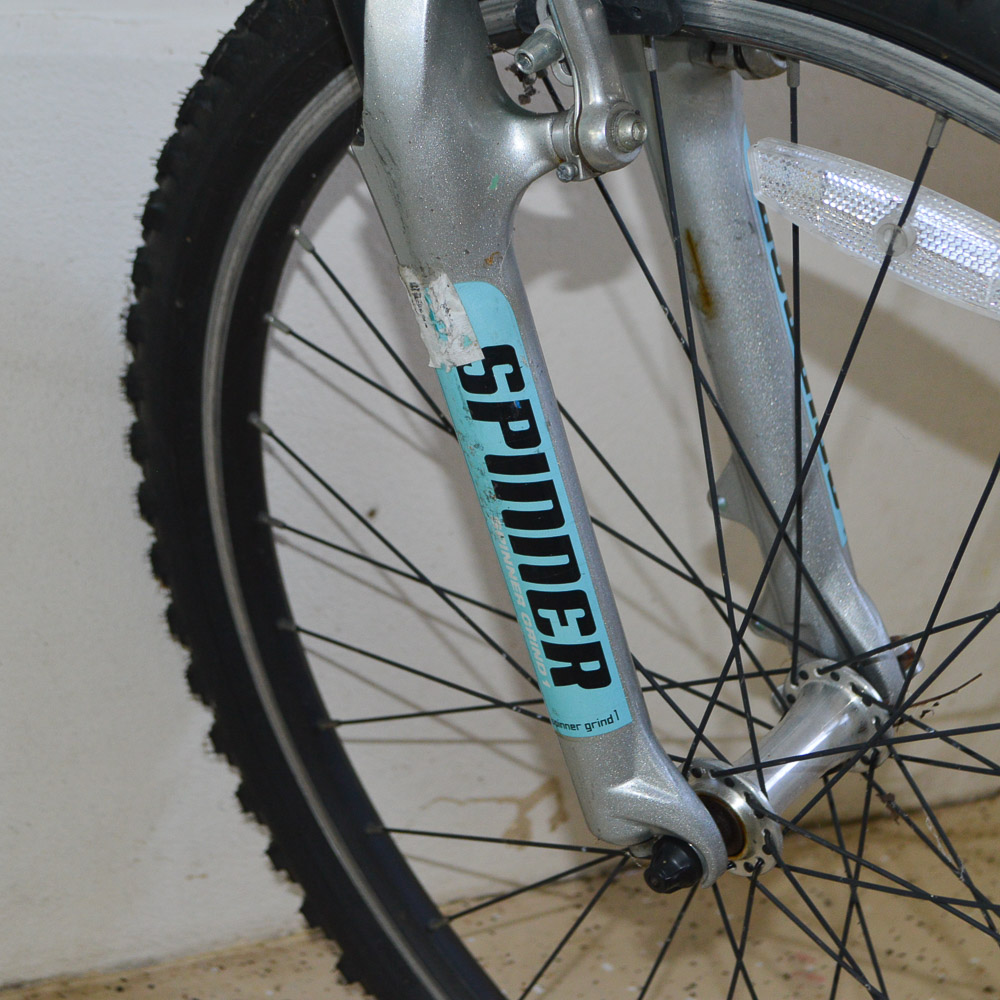 2008 Women's Diamondback Mountain Bike