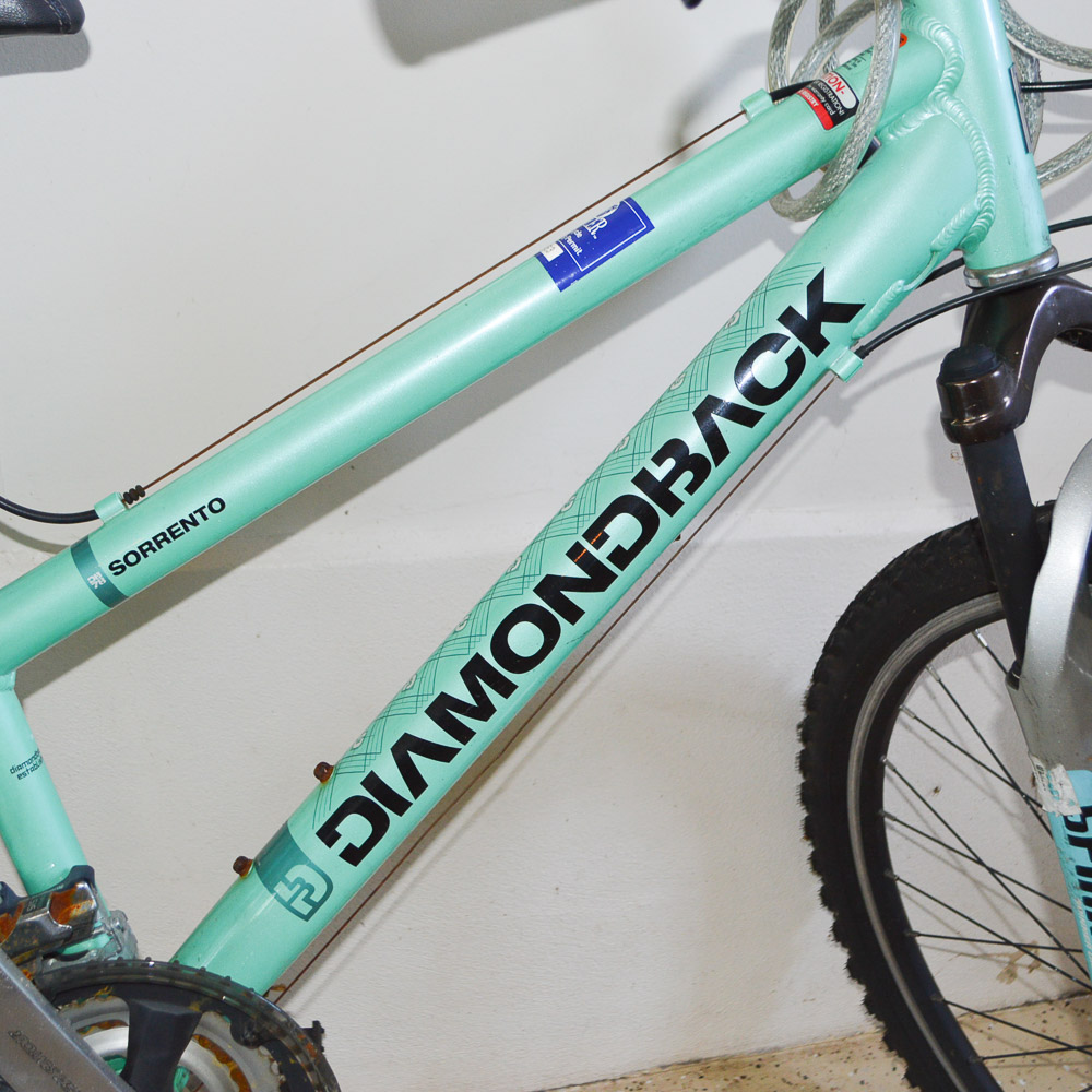 2008 Women's Diamondback Mountain Bike