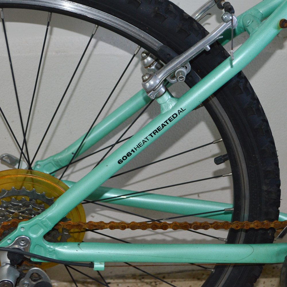 2008 Women's Diamondback Mountain Bike