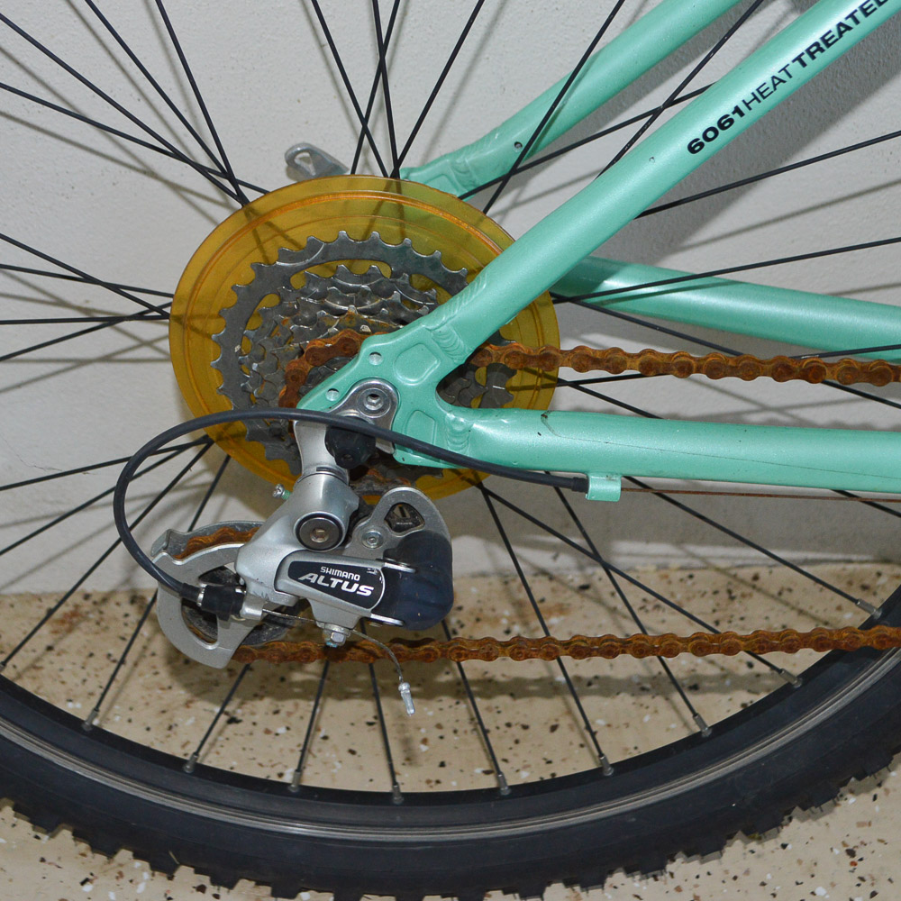 2008 Women's Diamondback Mountain Bike