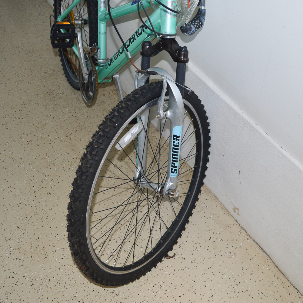 2008 Women's Diamondback Mountain Bike