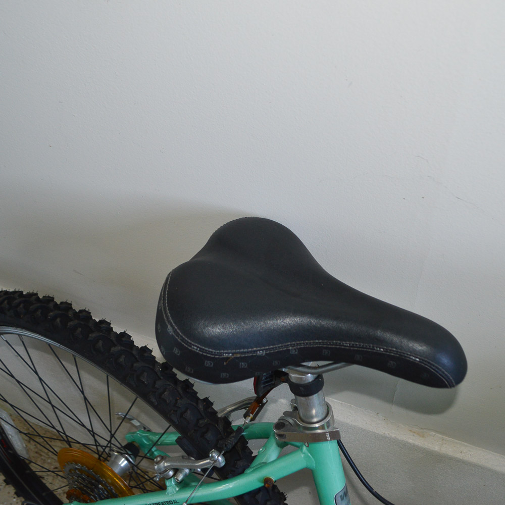 2008 Women's Diamondback Mountain Bike