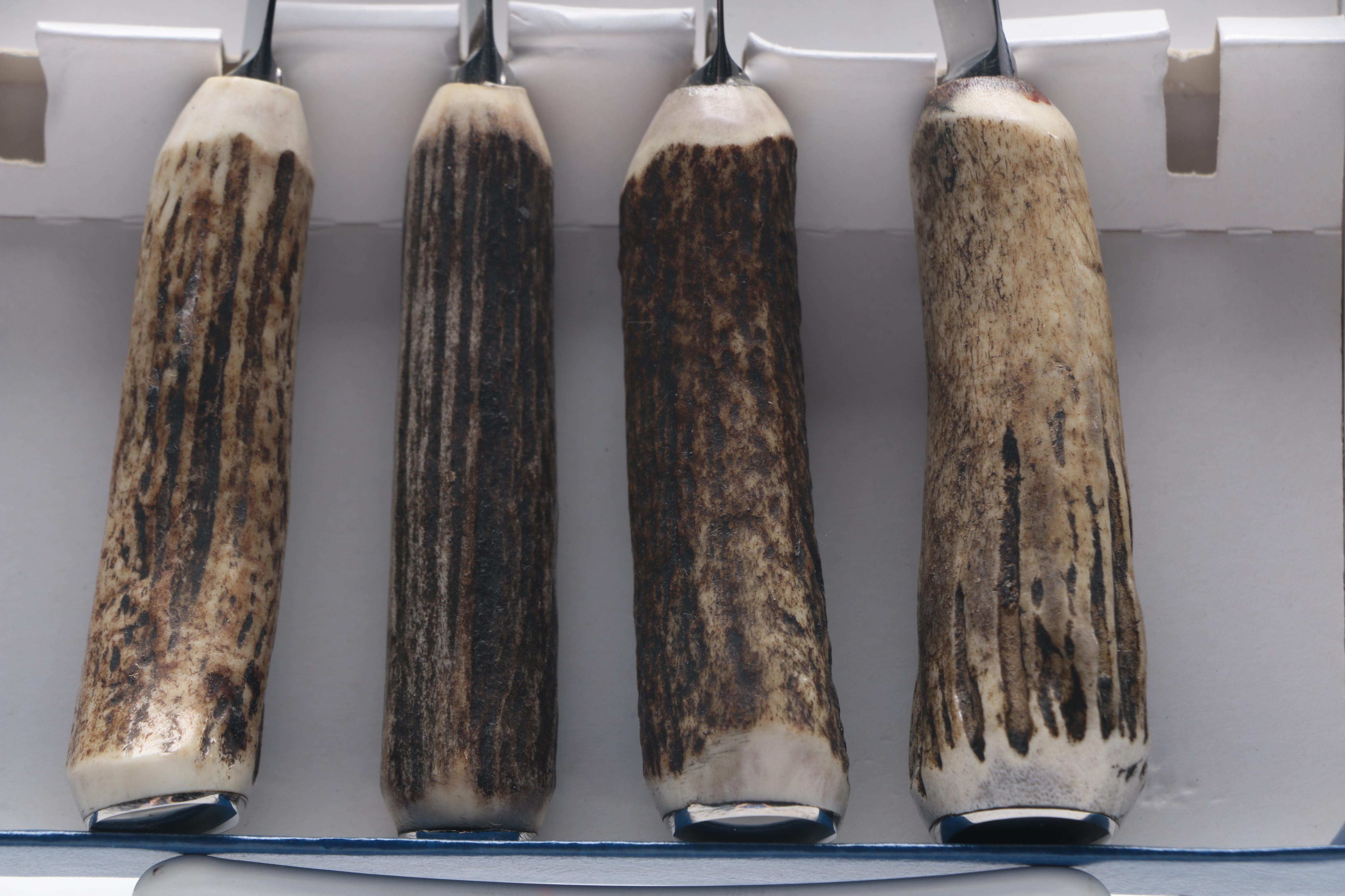 Williams-Sonoma Home Antler Handled Cheese Knives