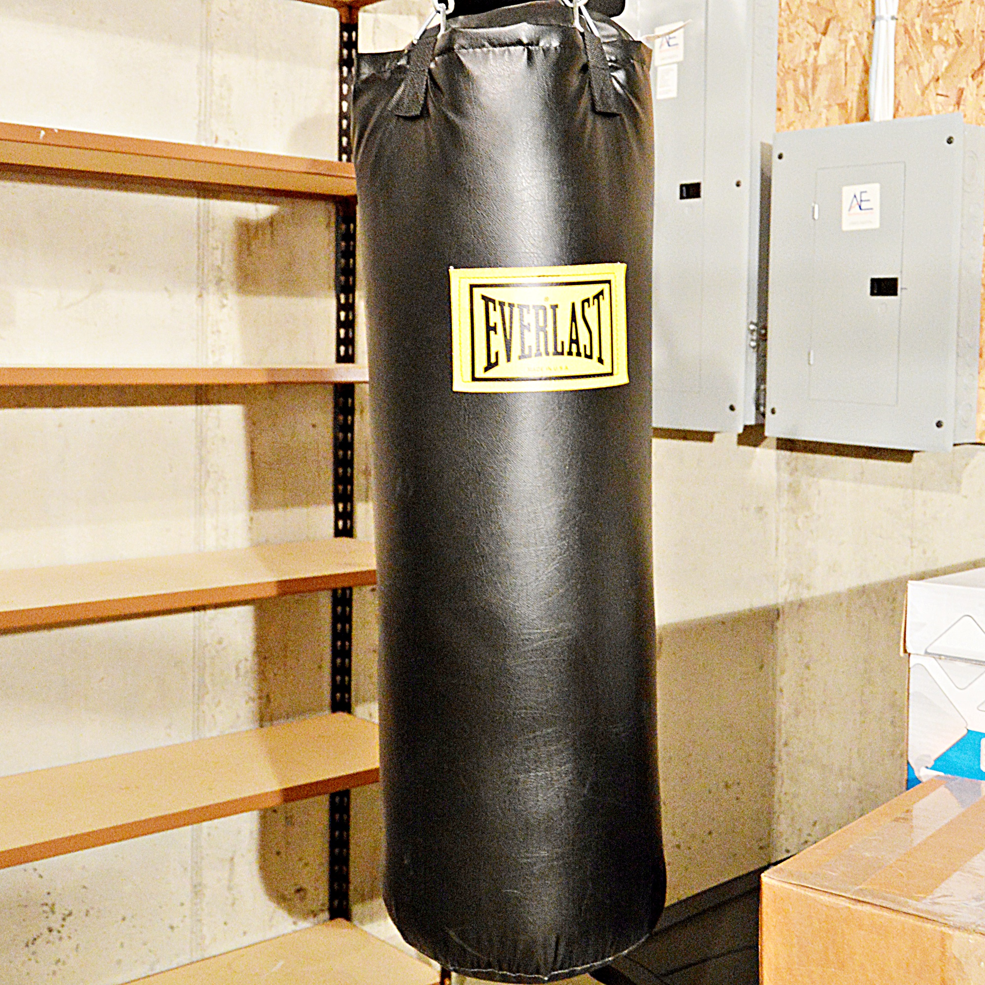 Everlast Punching Bag and Boxing Gloves