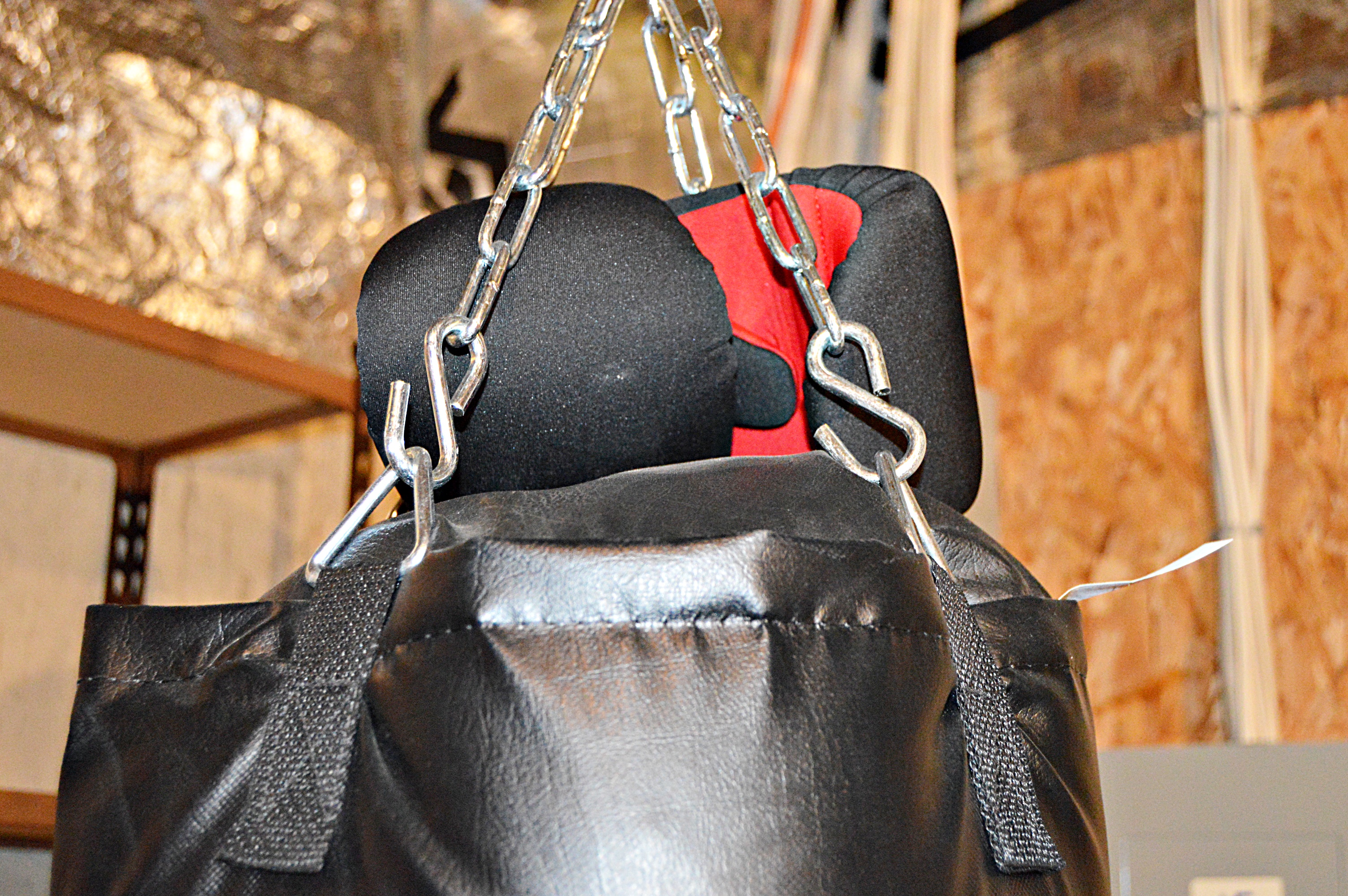 Everlast Punching Bag and Boxing Gloves