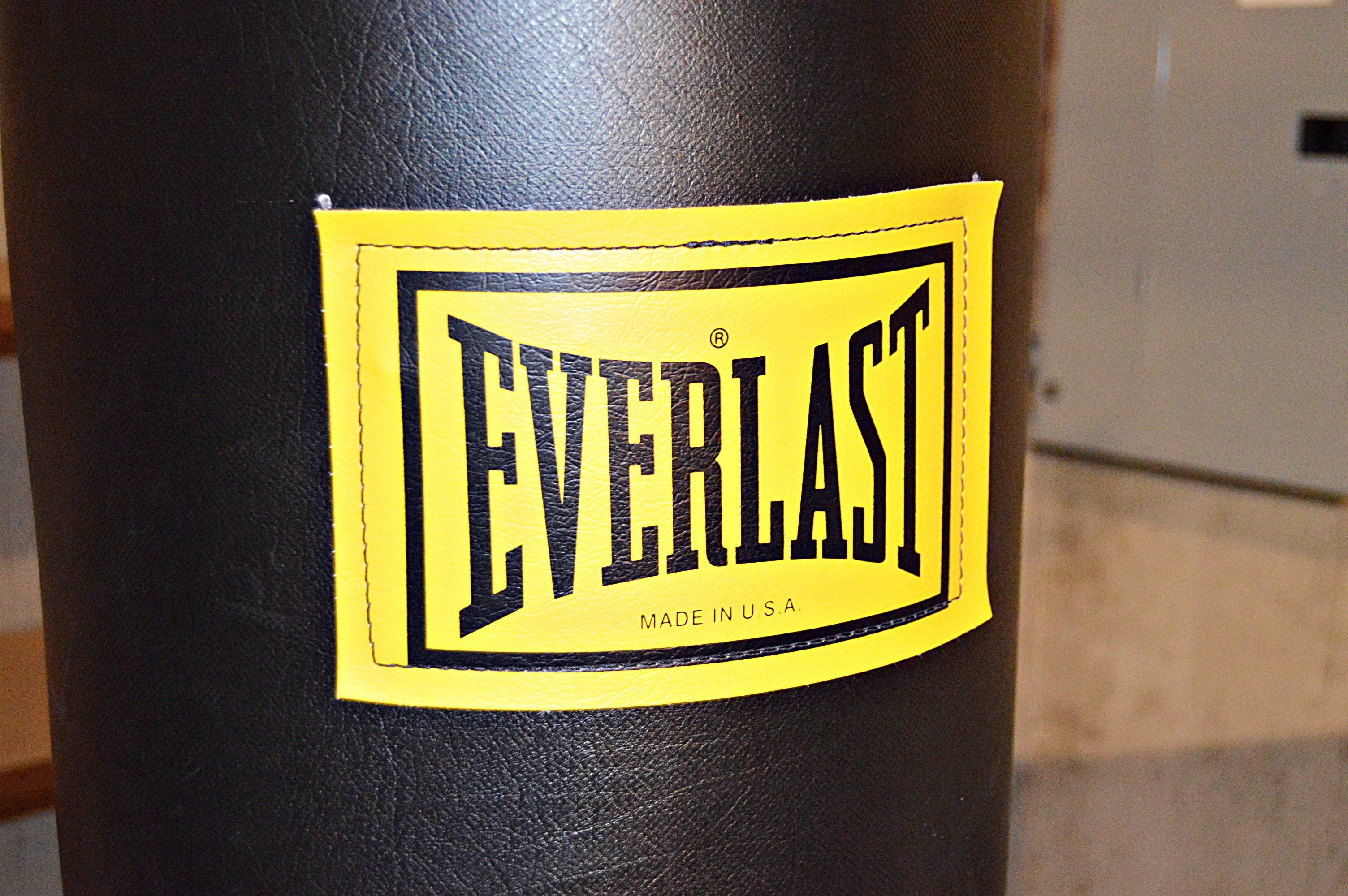 Everlast Punching Bag and Boxing Gloves