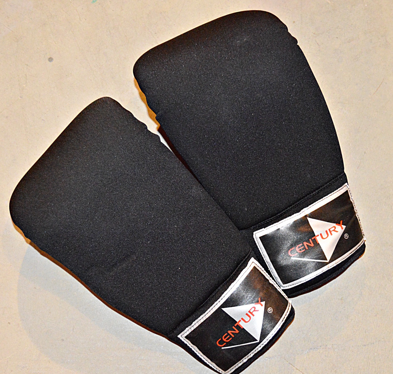 Everlast Punching Bag and Boxing Gloves