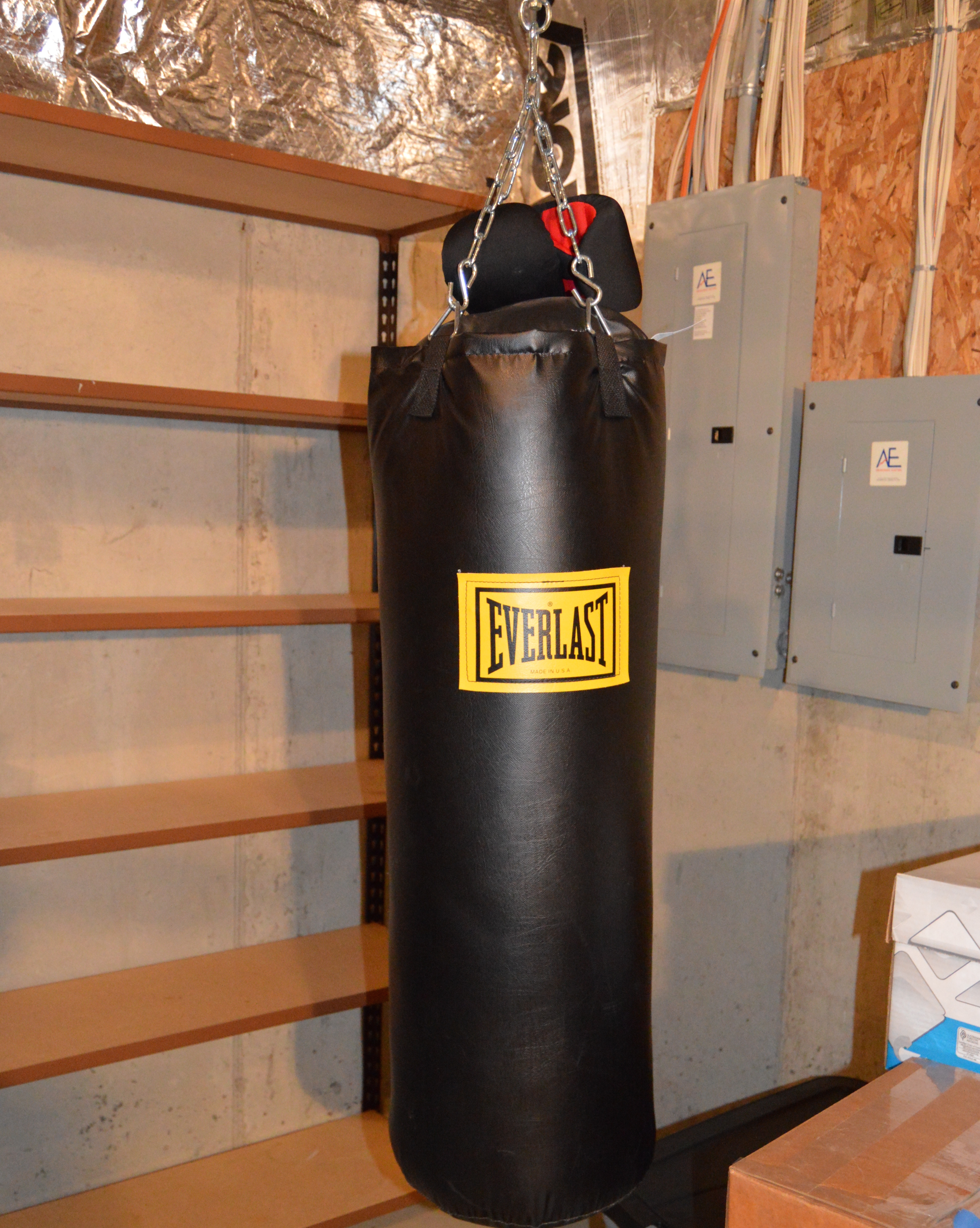 Everlast Punching Bag and Boxing Gloves