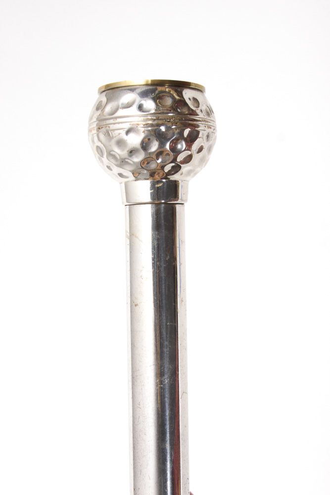 Walking Cane Assortment in Gold-Toned Umbrella Stand