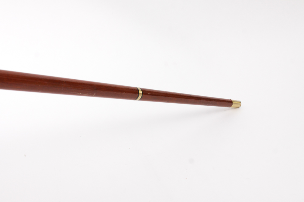 Walking Cane Assortment in Gold-Toned Umbrella Stand