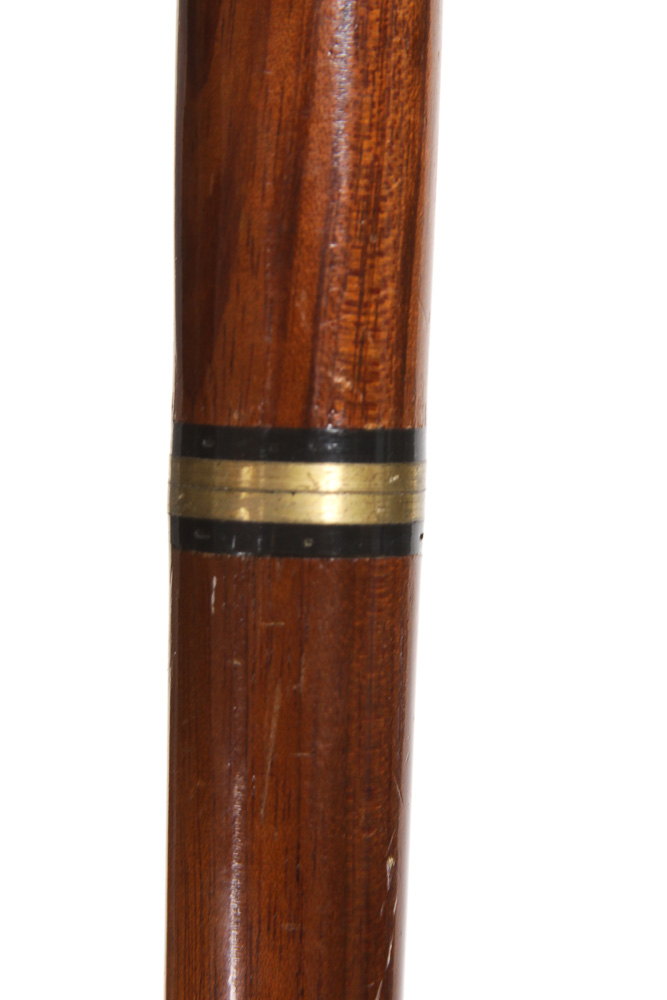 Walking Cane Assortment in Gold-Toned Umbrella Stand