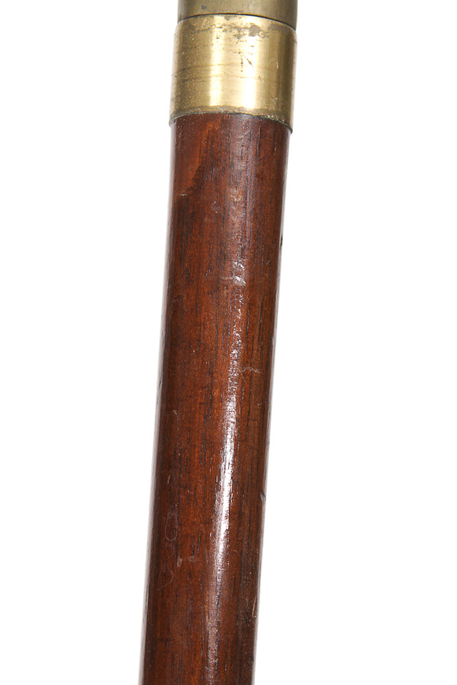 Walking Cane Assortment in Gold-Toned Umbrella Stand