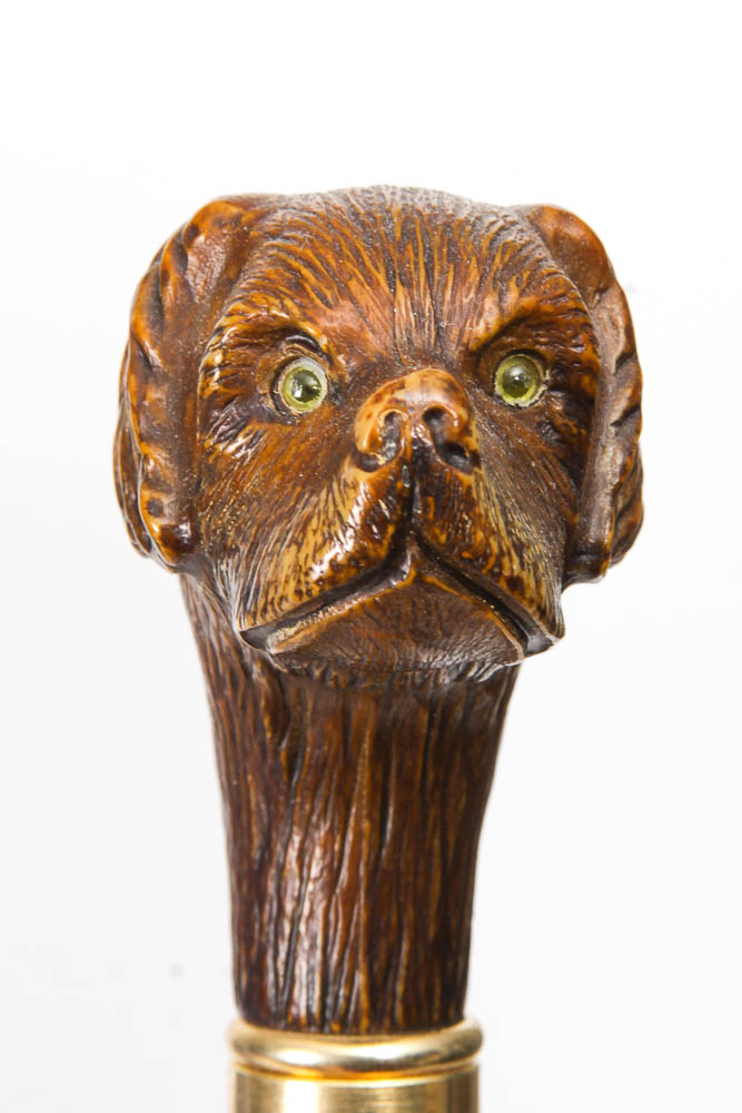 Animal Head Canes in an Umbrella Stand