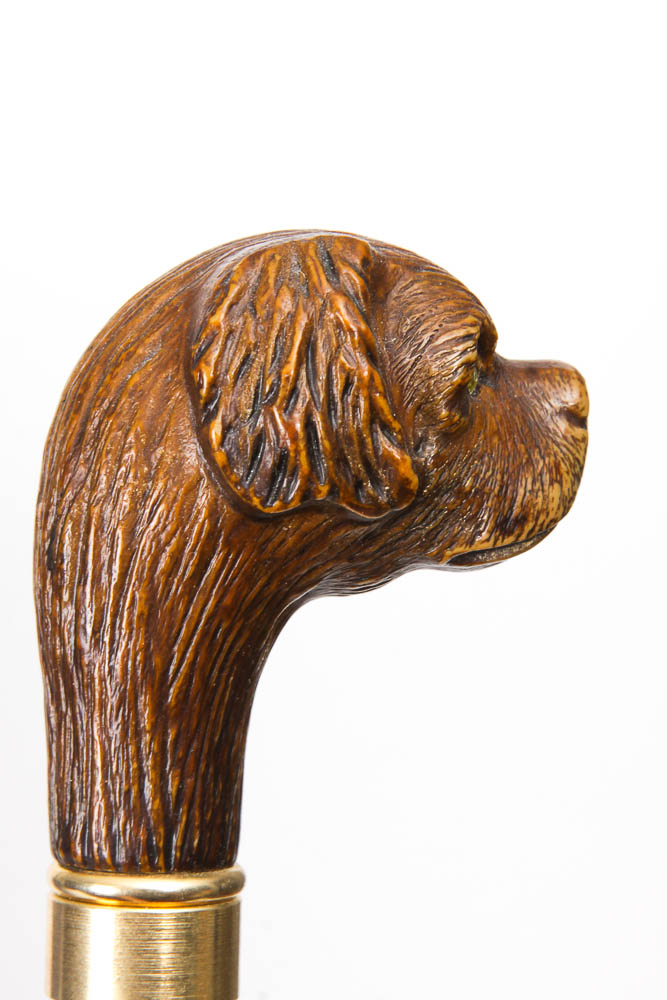 Animal Head Canes in an Umbrella Stand