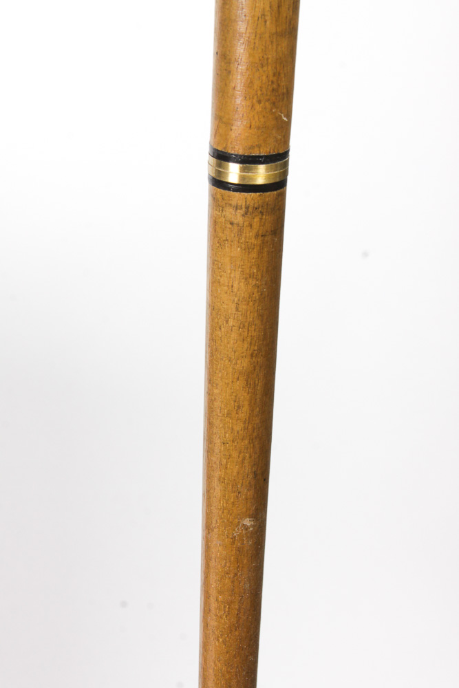 Animal Head Canes in an Umbrella Stand