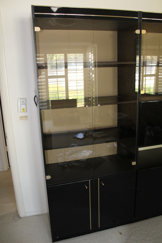 Contemporary Curio Cabinet