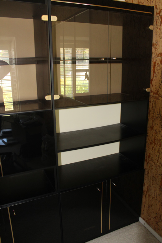 Contemporary Curio Cabinet