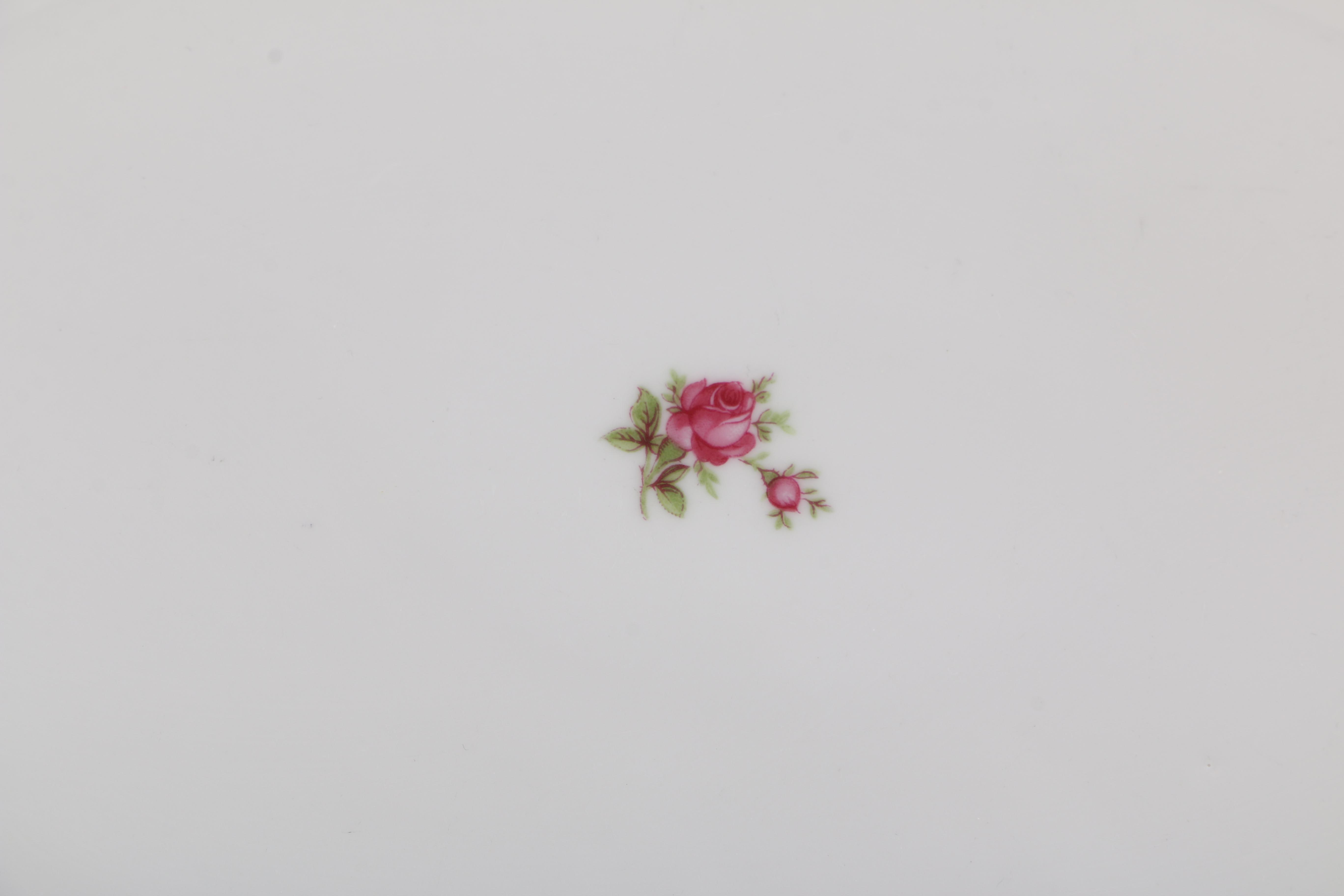 Winterling "Rosedot" Bavaria China Set