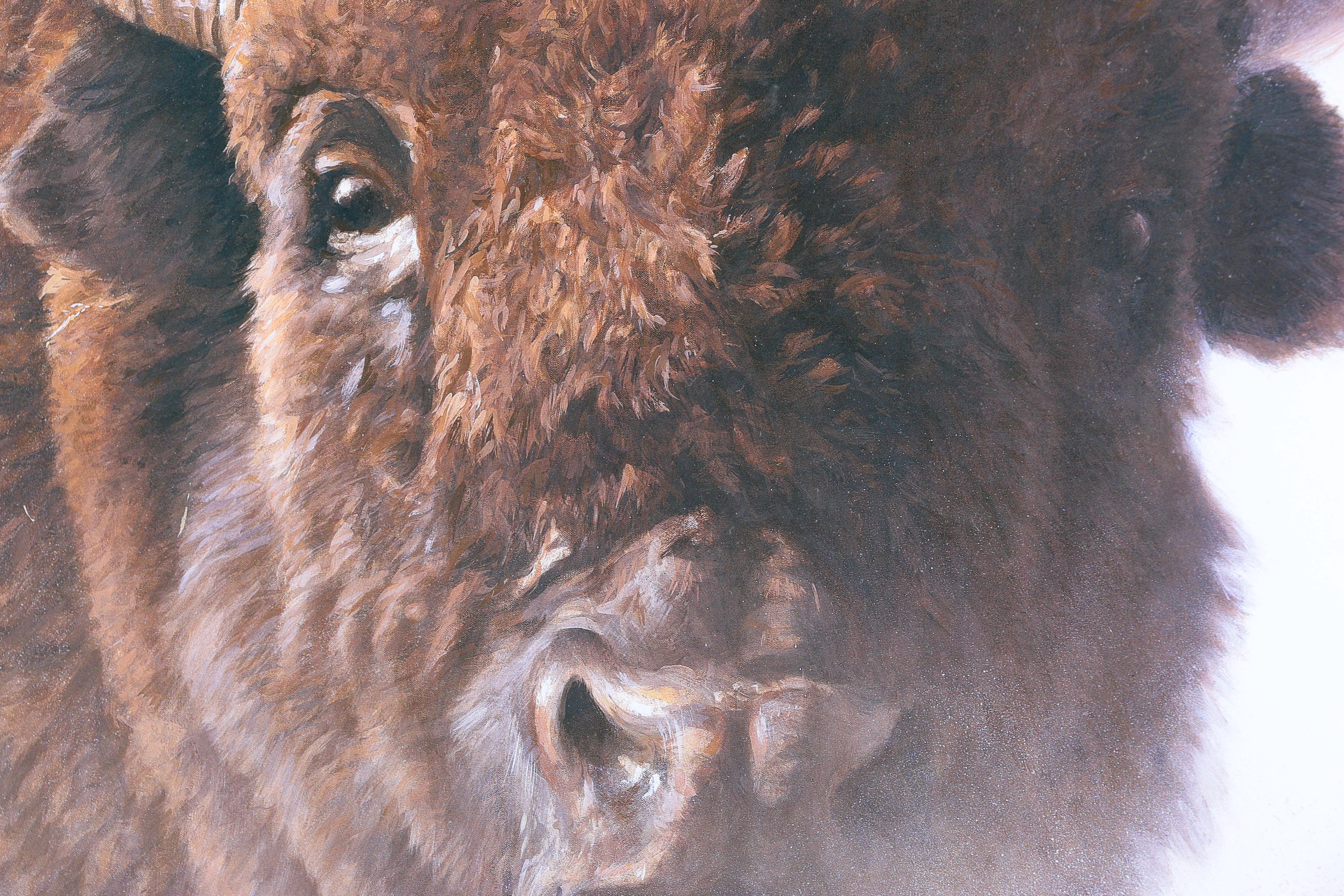 Offset Lithograph After Robert Bateman "Chief"