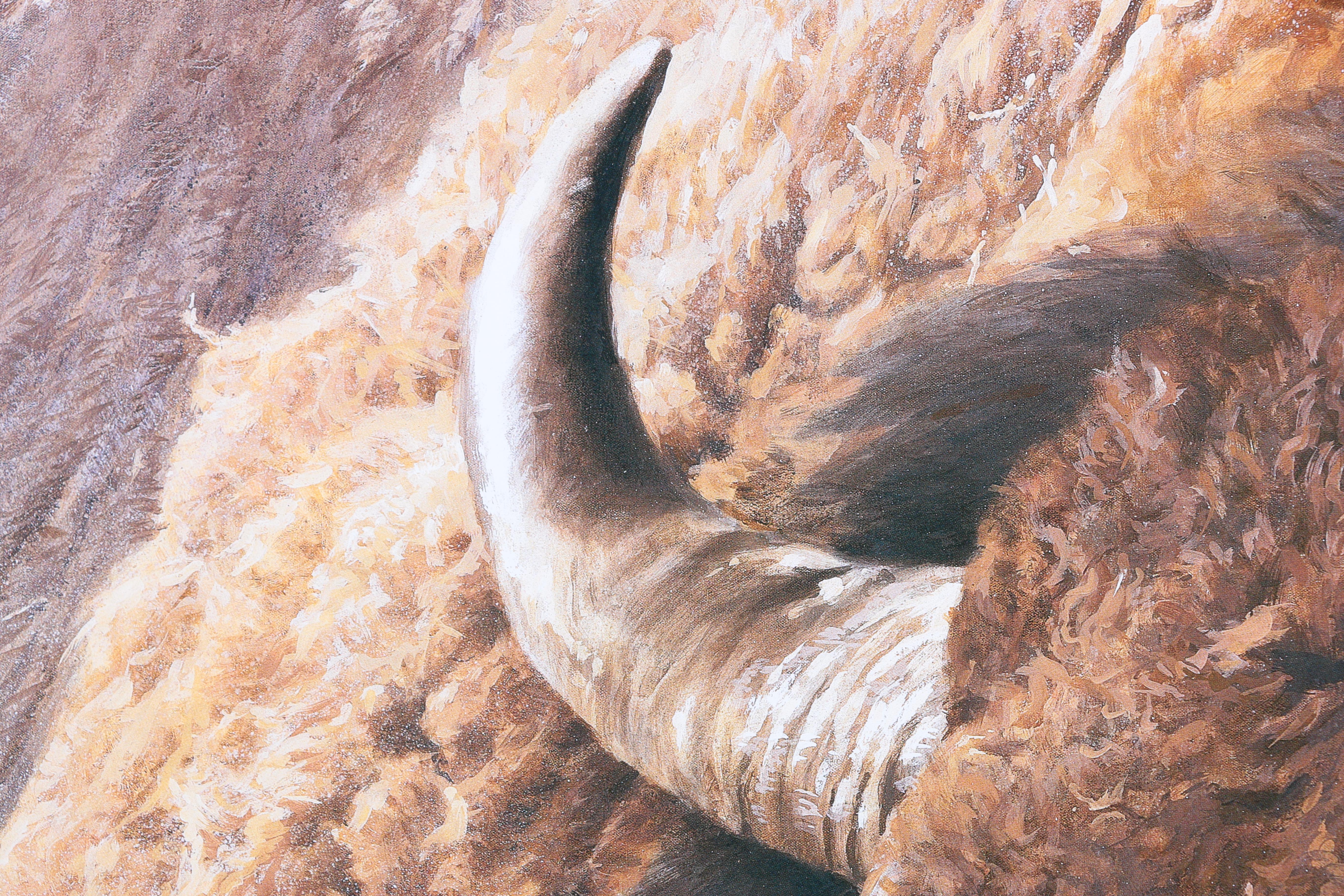 Offset Lithograph After Robert Bateman "Chief"