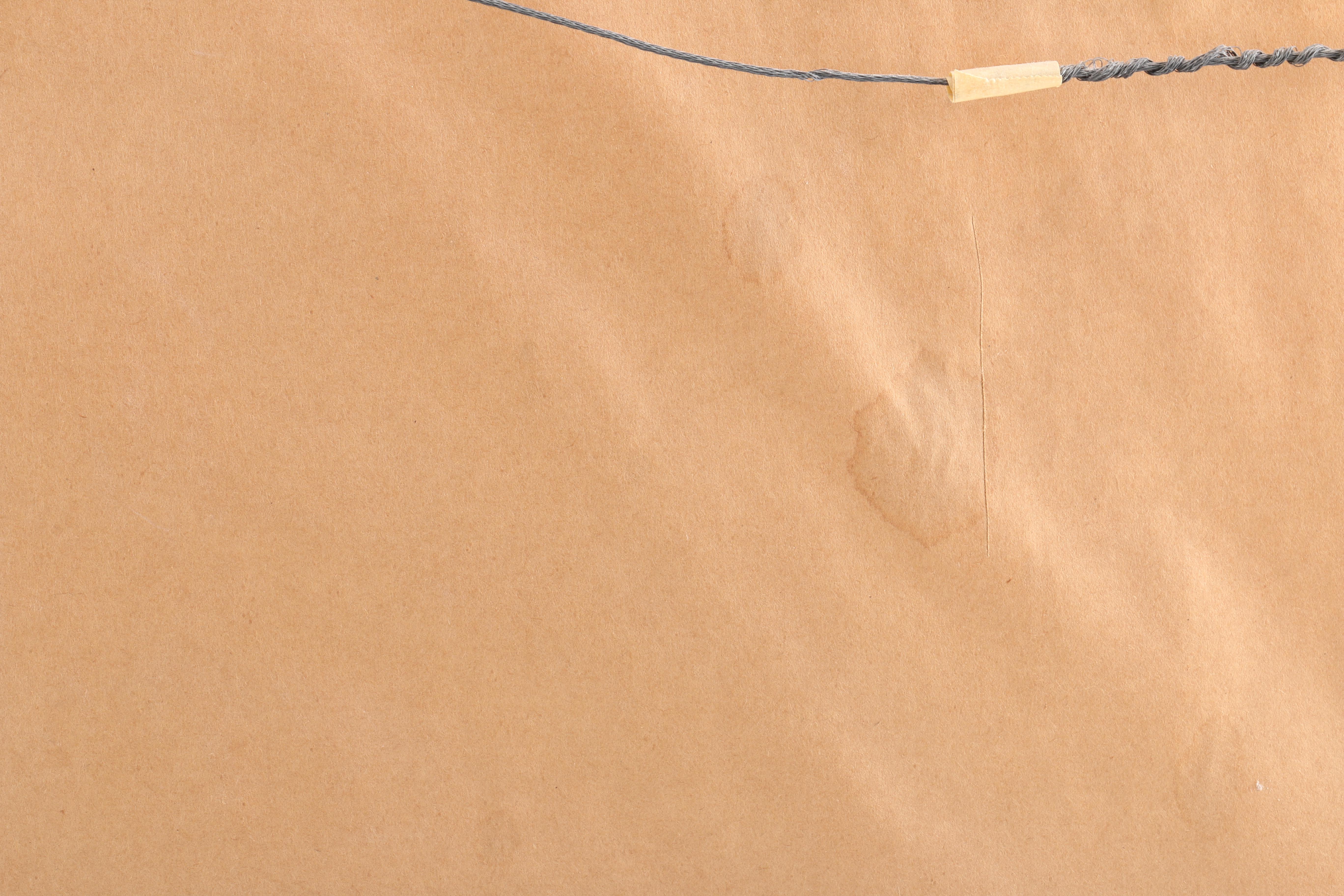 Luth Watercolor Landscape of Twilight Setting With Lighthouse and Deer