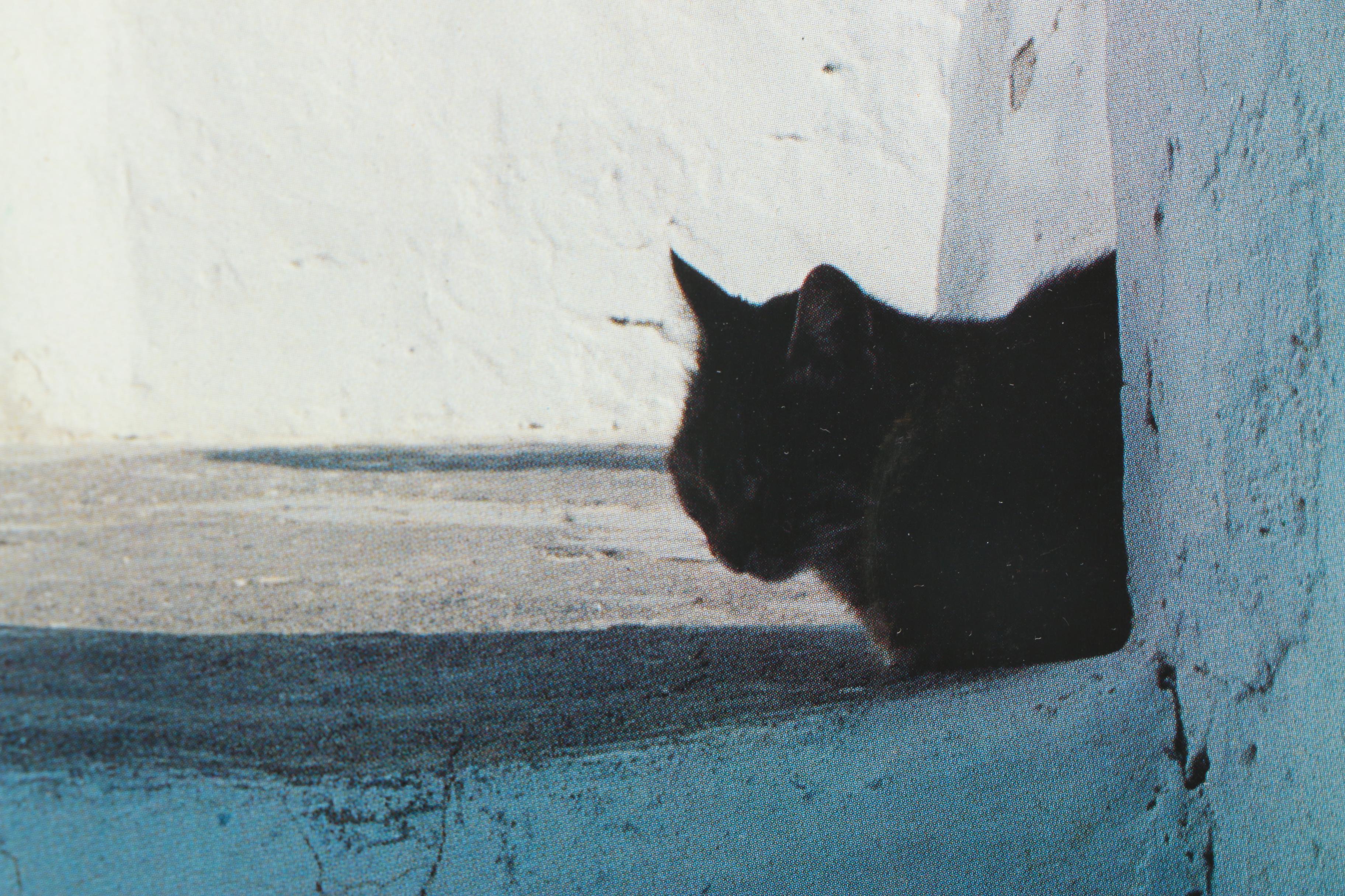 Offset Lithograph Photographs After Georges Meis of Grecian Scenes