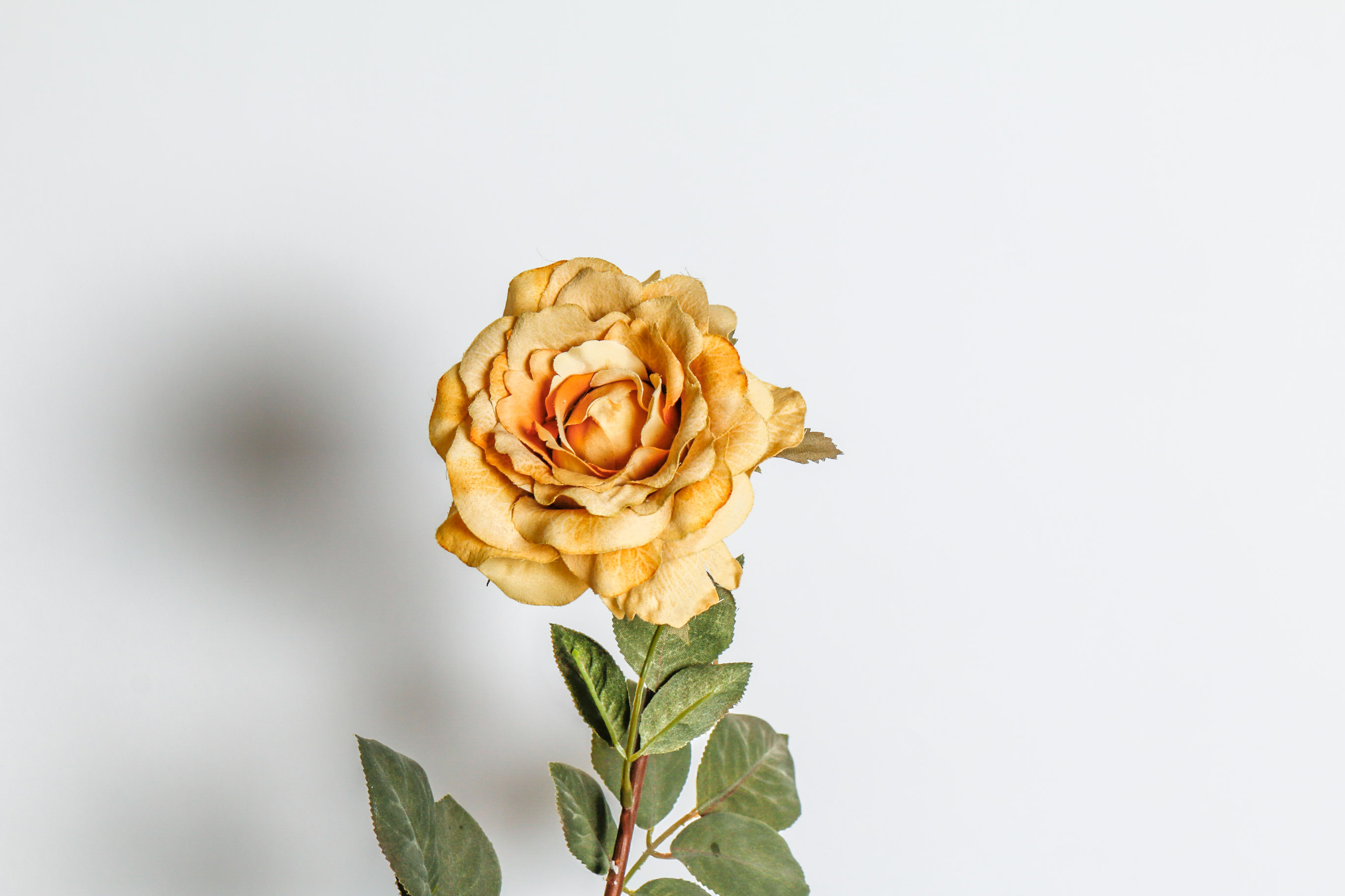 Silver Plated Tray and Tea Set
