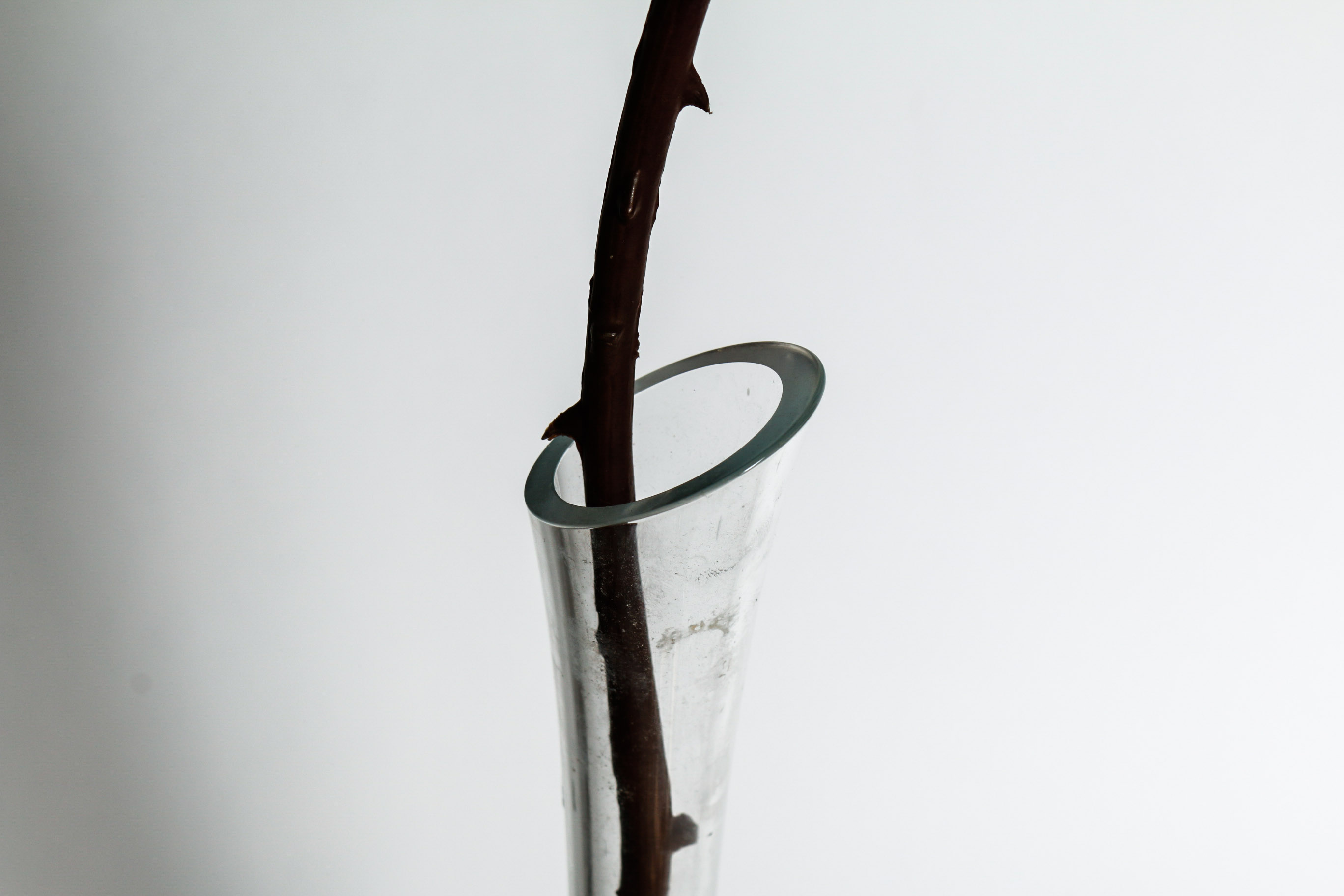 Silver Plated Tray and Tea Set