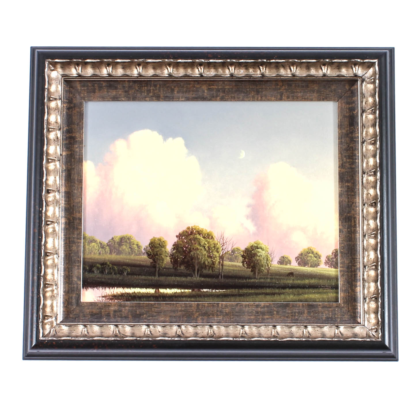 C. Bailey Oil Painting on Canvas "June's Clouds"