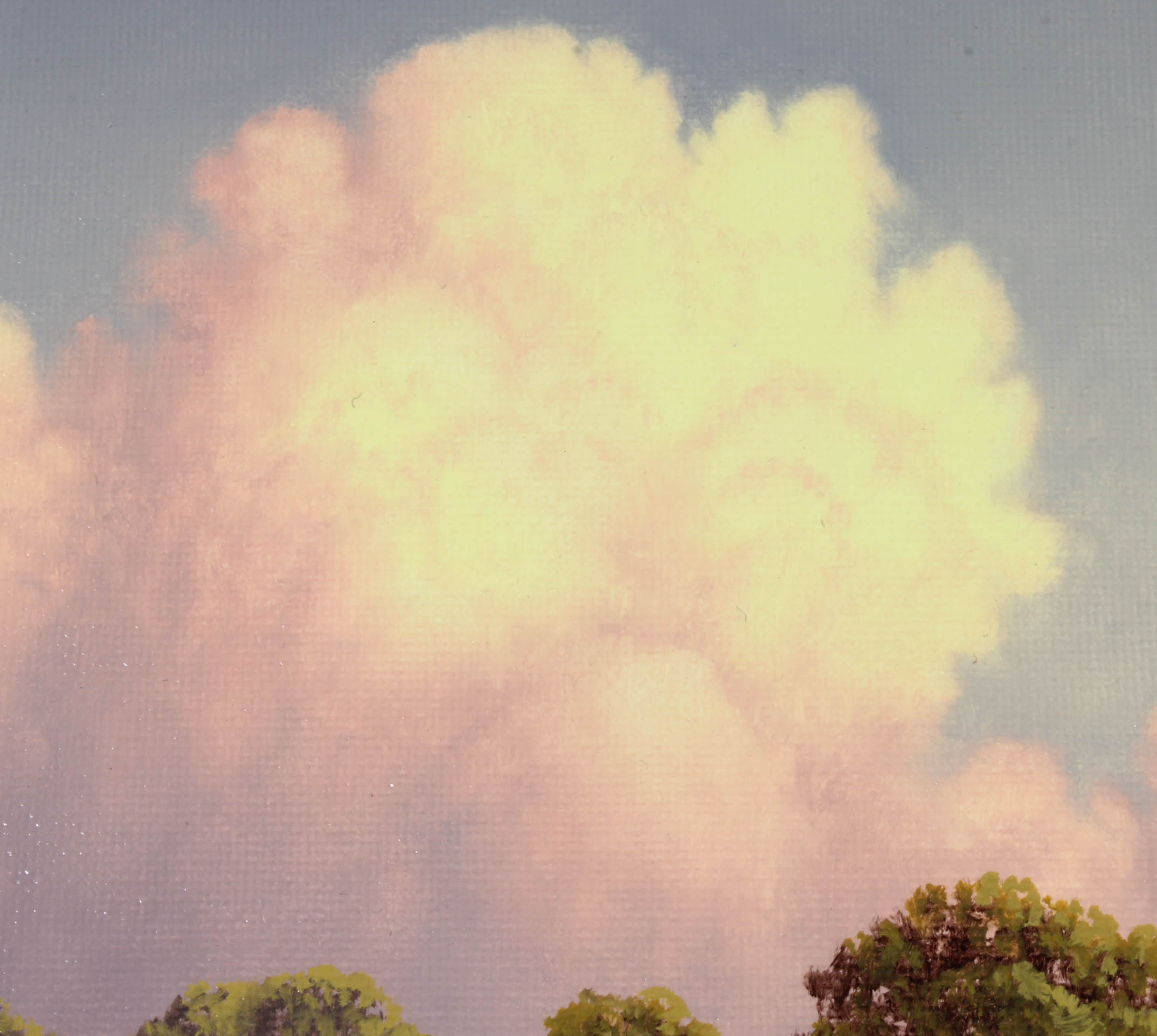 C. Bailey Oil Painting on Canvas "June's Clouds"