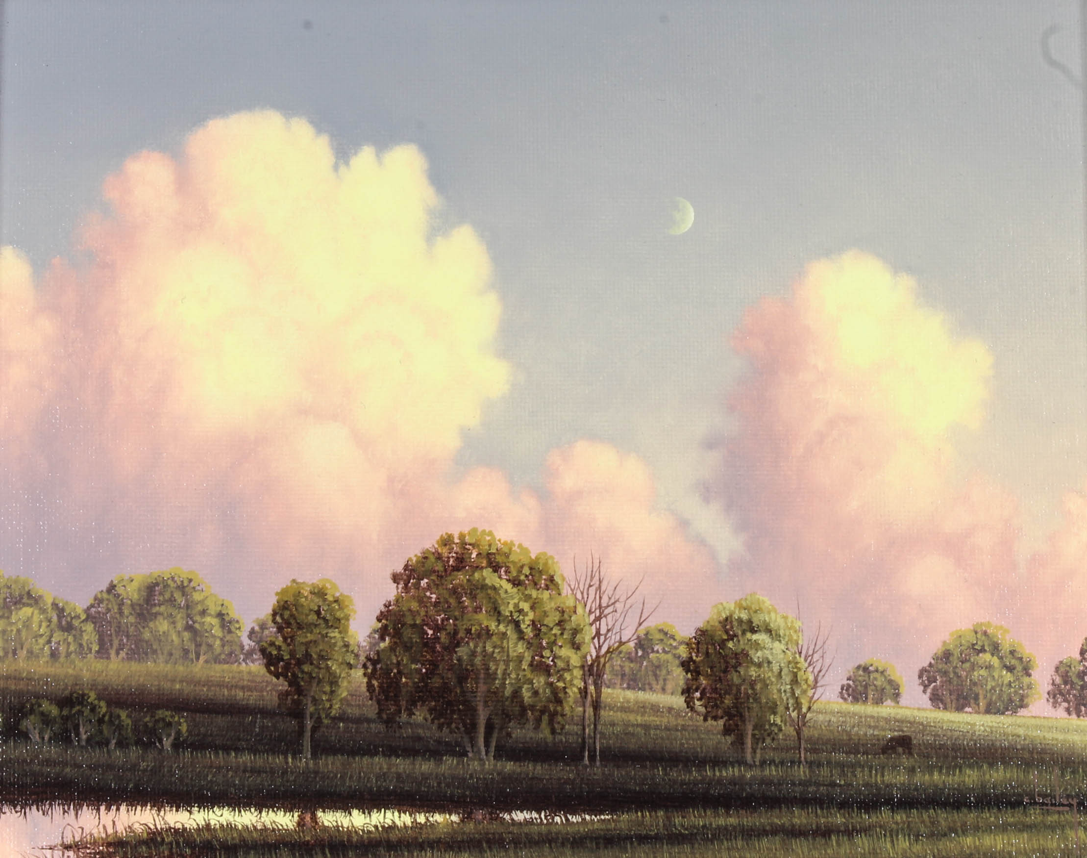 C. Bailey Oil Painting on Canvas "June's Clouds"