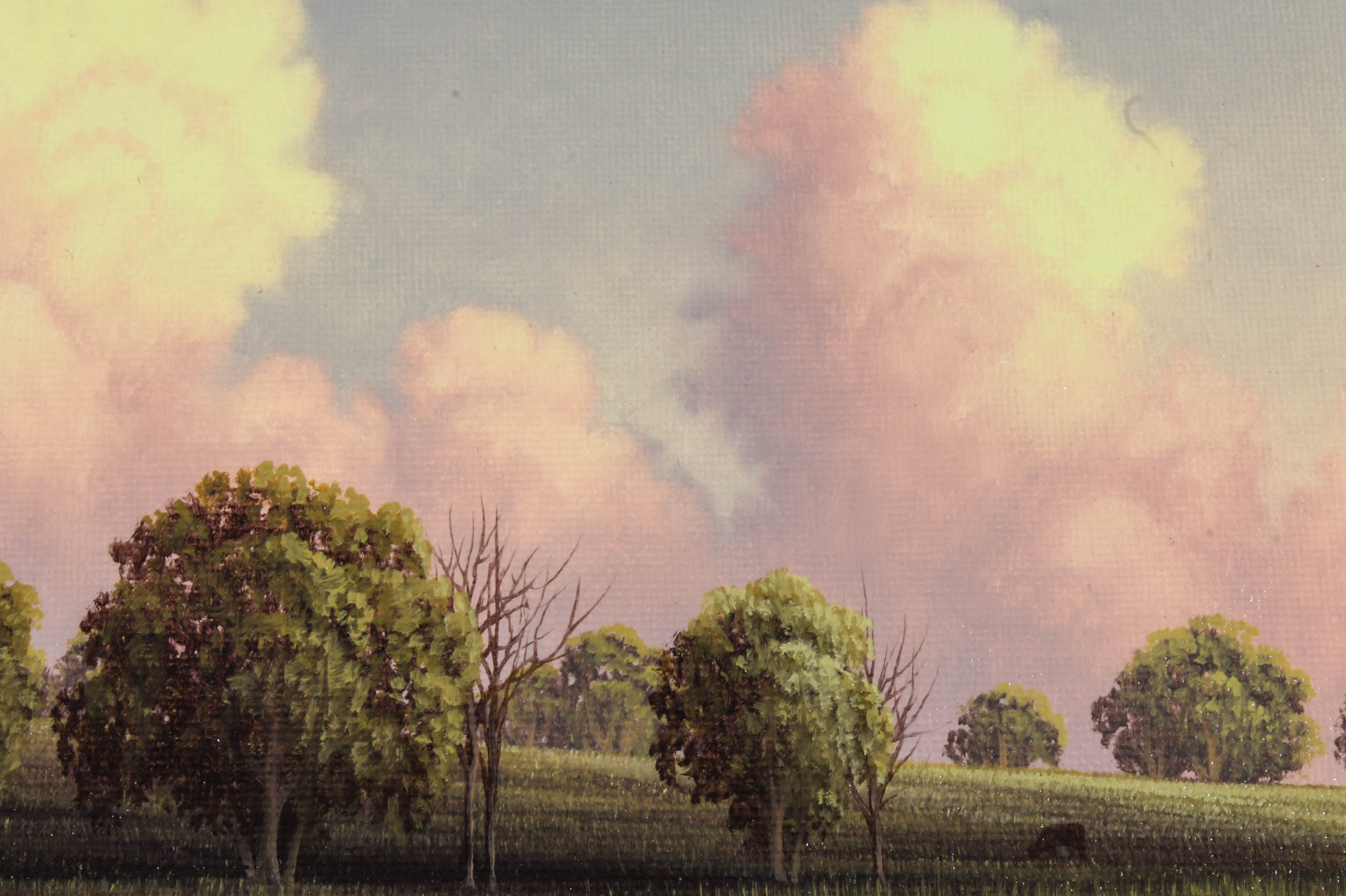 C. Bailey Oil Painting on Canvas "June's Clouds"