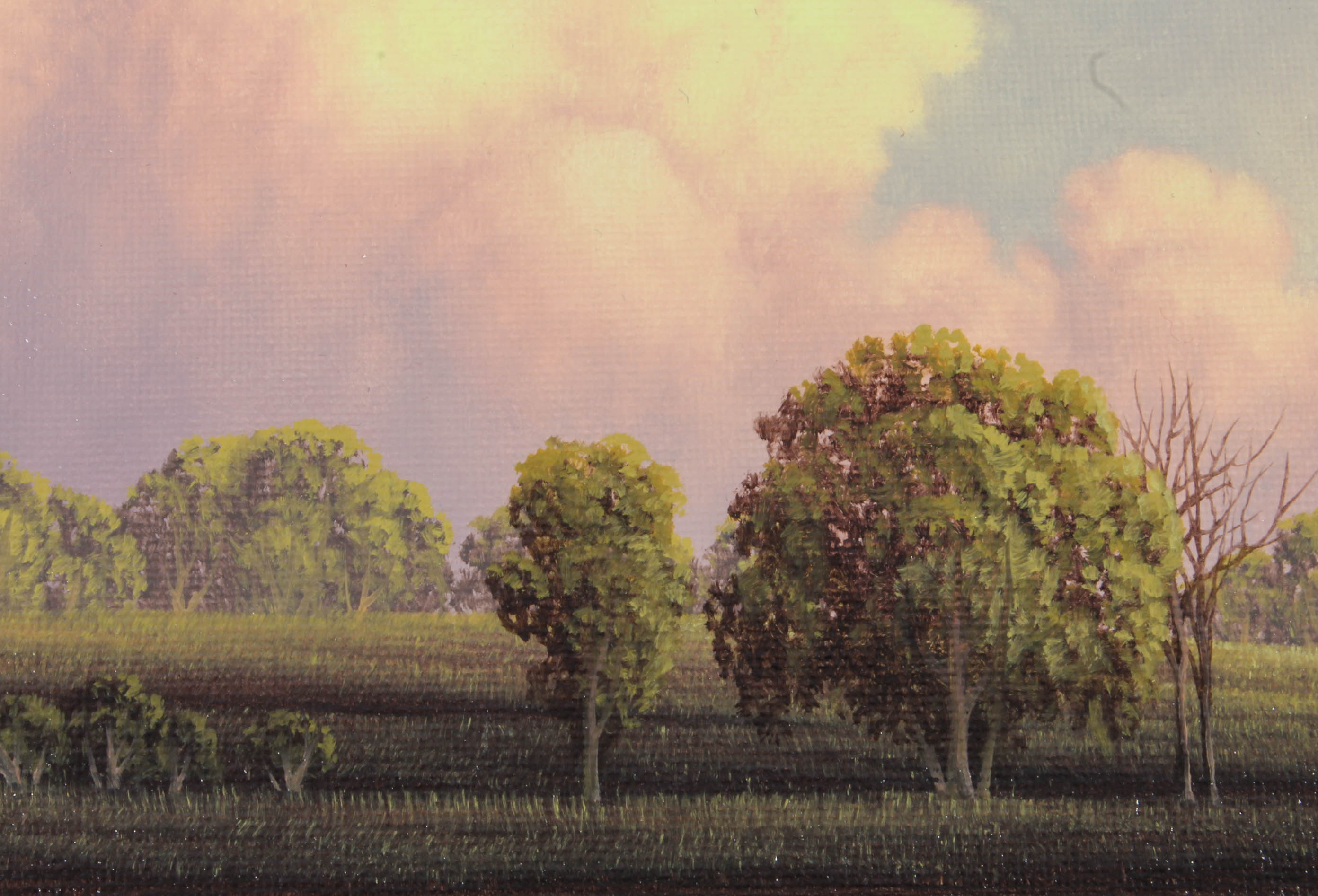 C. Bailey Oil Painting on Canvas "June's Clouds"