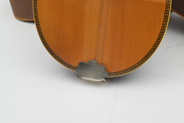 Antique Bowlback Mandolin and Case