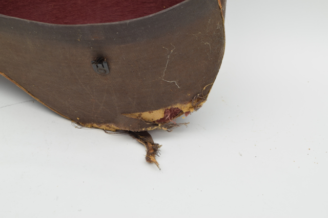 Antique Bowlback Mandolin and Case