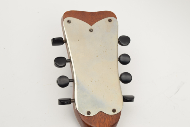 Antique Bowlback Mandolin and Case