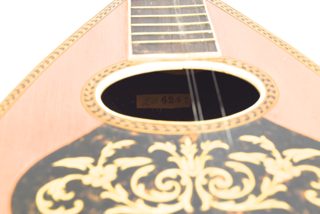 Antique Bowlback Mandolin and Case