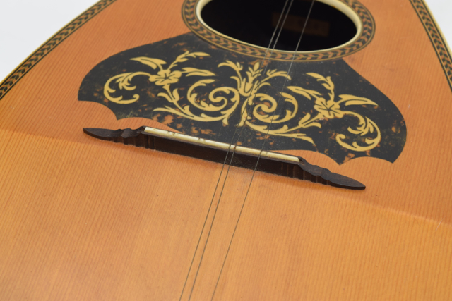 Antique Bowlback Mandolin and Case
