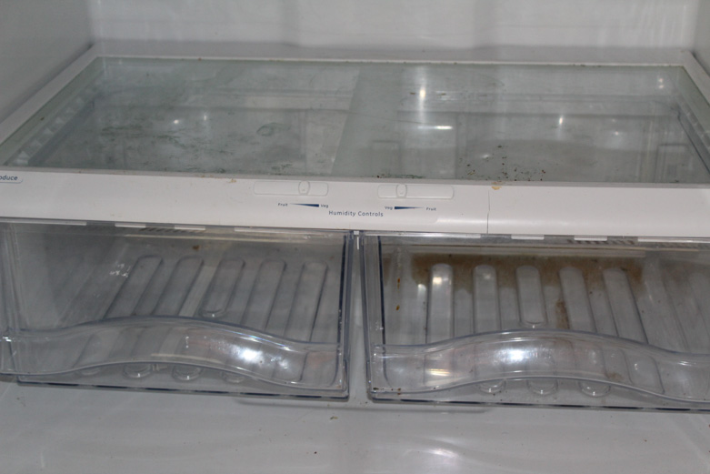 Contemporary GE Refrigerator