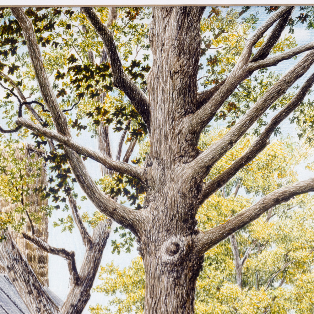 Peter Keating Colored Pencil Drawing