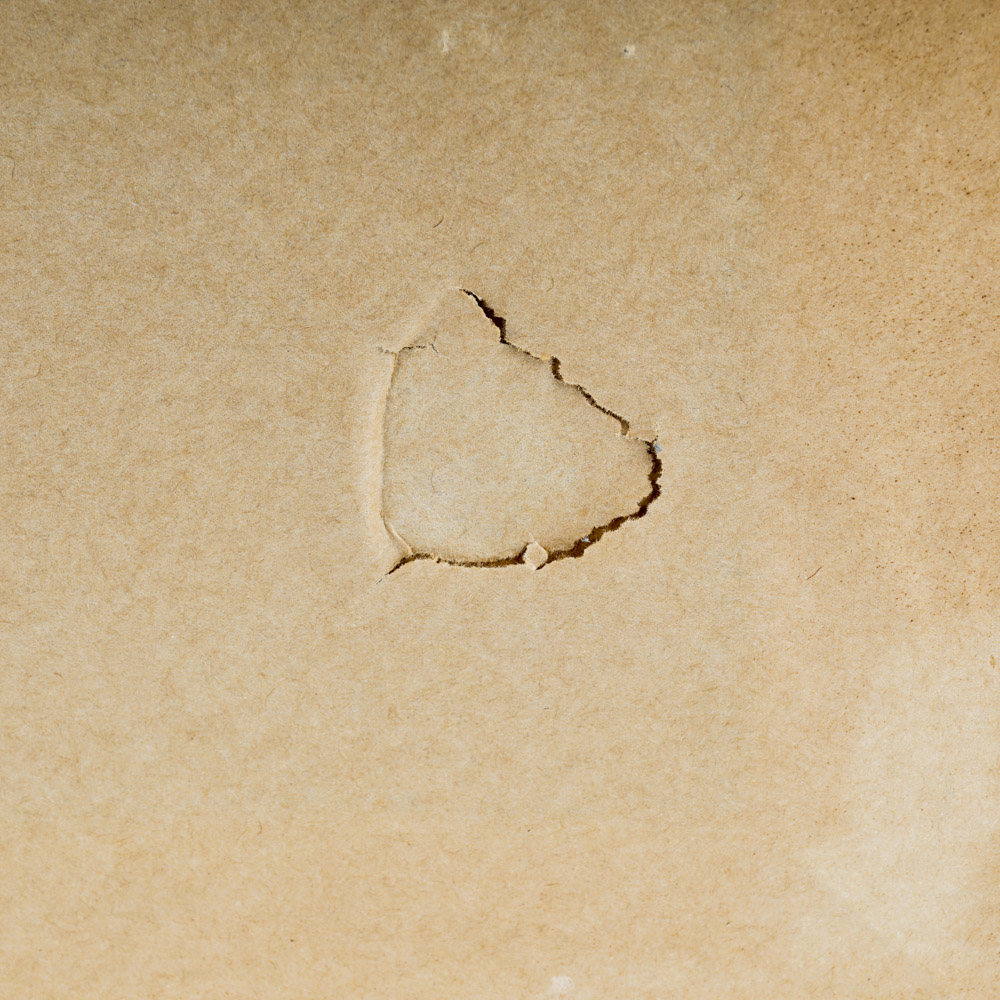 Toon Koster Original Oil Painting