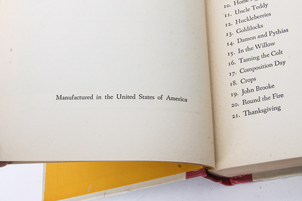 Collection of Vintage Children and Young Adult Literature