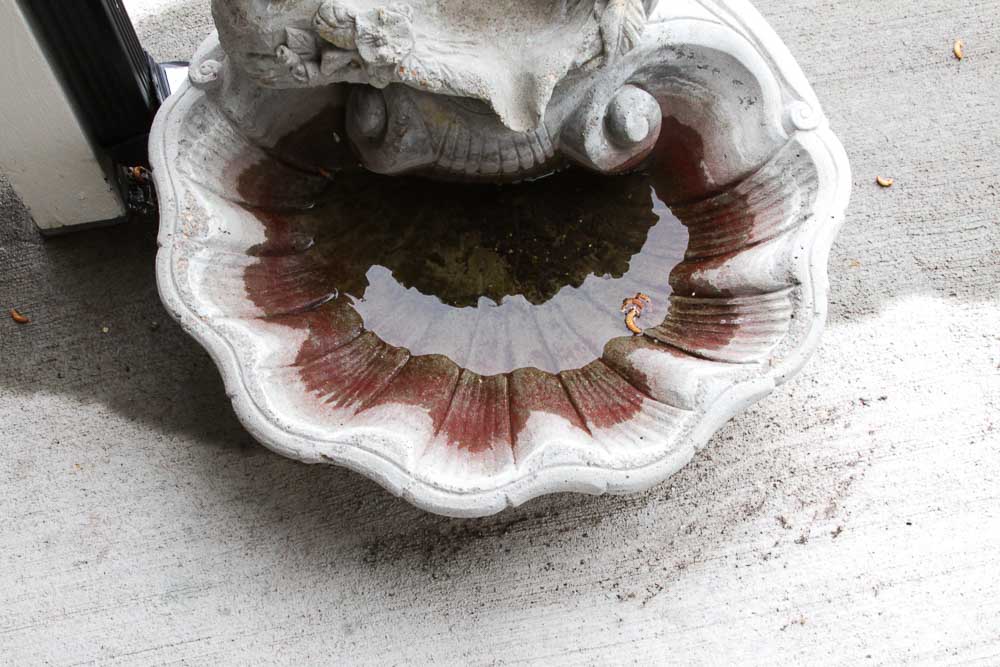 Stewart Signed Cast Stone Bird Bath Fountain