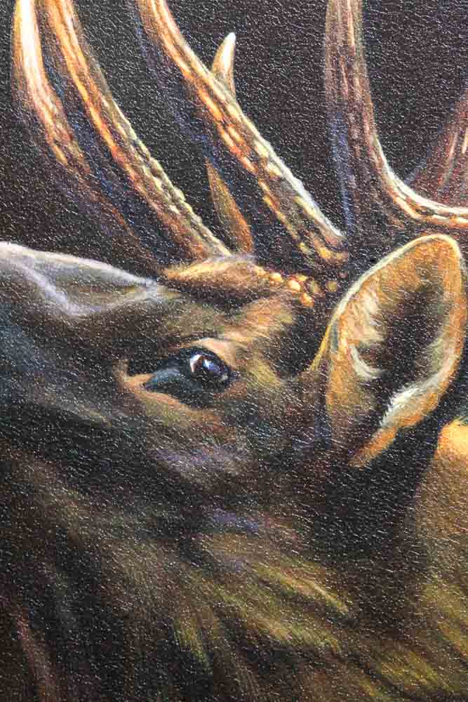 Leo Stans Giclée Print on Canvas "Elk Portrait"