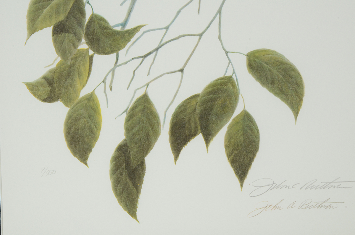 John Ruthven Signed 1982 Limited Edition Offset Lithograph "Golden Crowned Kinglets"