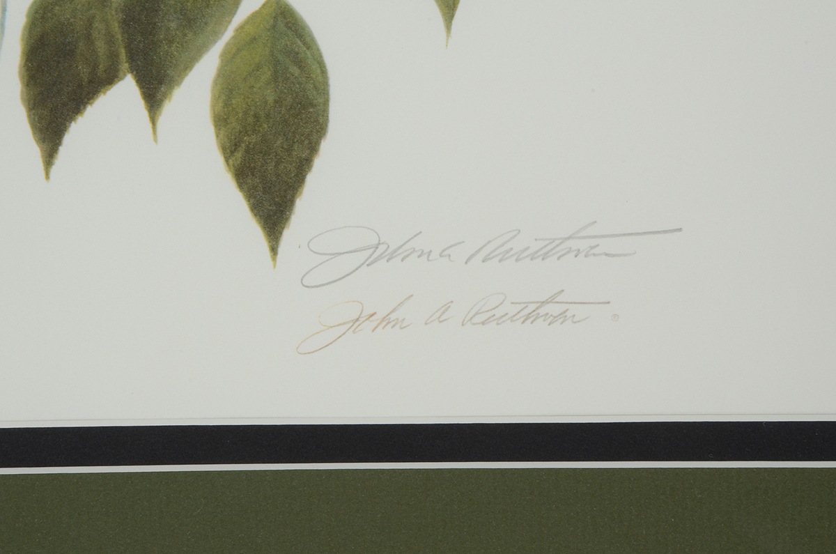 John Ruthven Signed 1982 Limited Edition Offset Lithograph "Golden Crowned Kinglets"